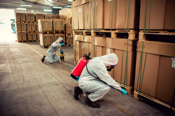 Best Best Pest Control Companies  in Clarkston Heights Vineland, WA