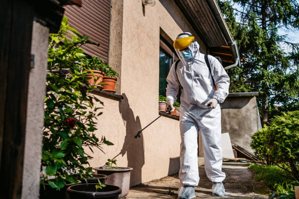 Best Exterminator Services  in Clarkston Heights Vineland, WA