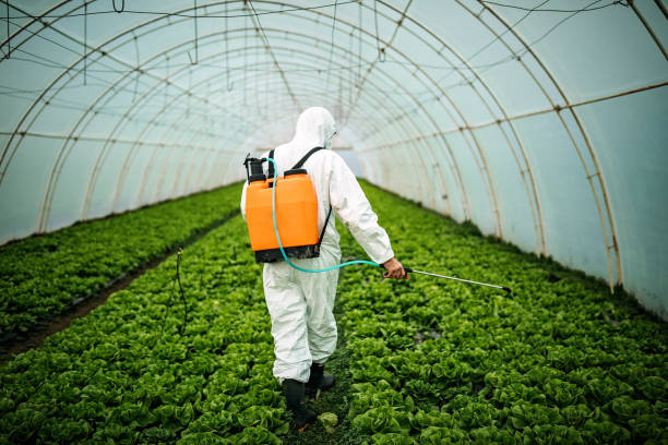 Best Affordable Pest Control Services  in Clarkston Heights Vineland, WA