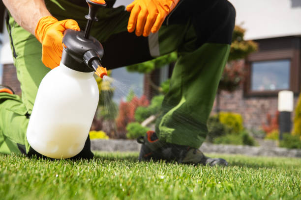 Best Emergency Pest Control  in Clarkston Heights Vineland, WA